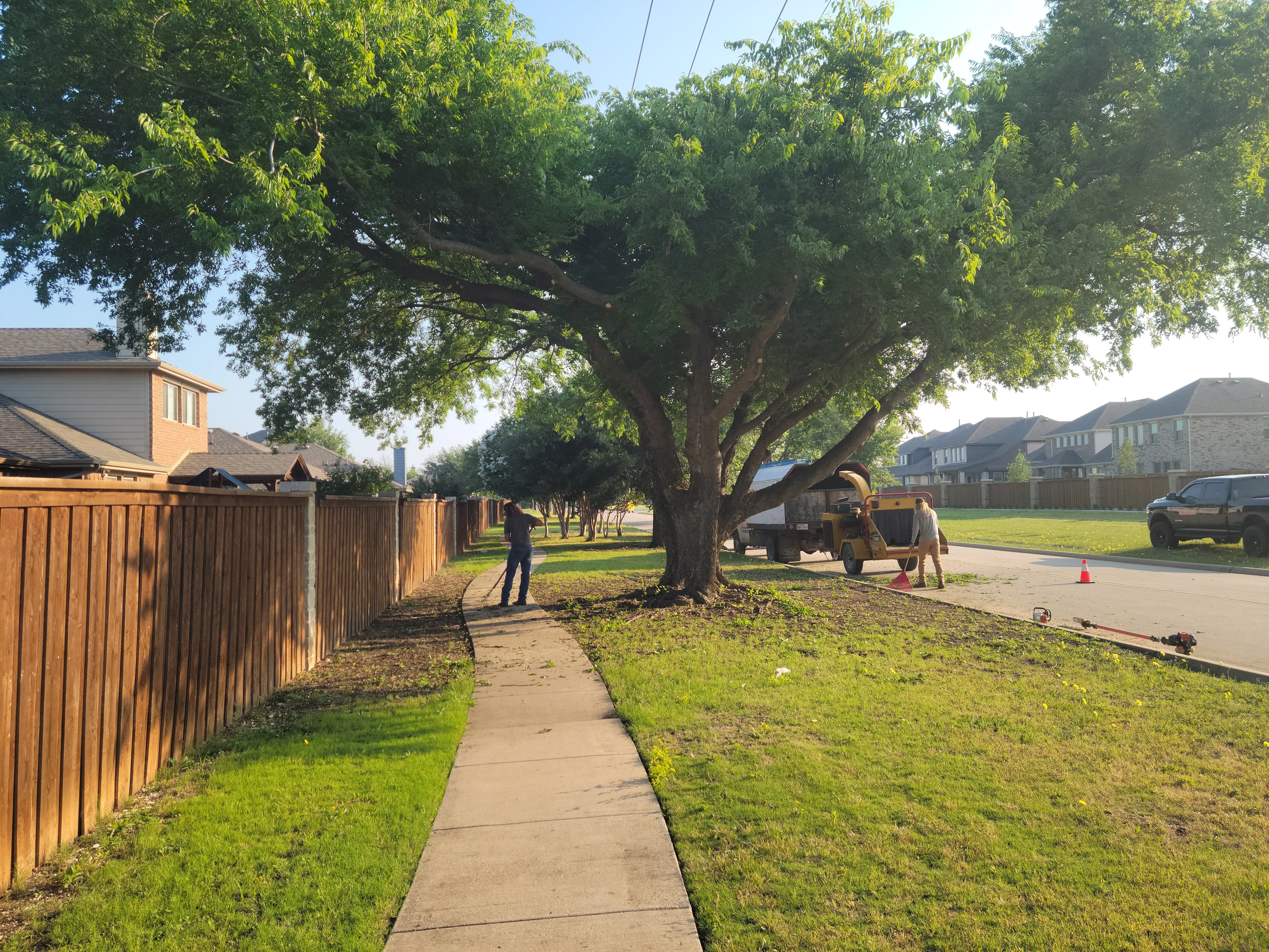 HOA tree trimming project by Tree MDs